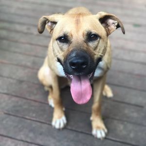 Meet your Posher, Tracy